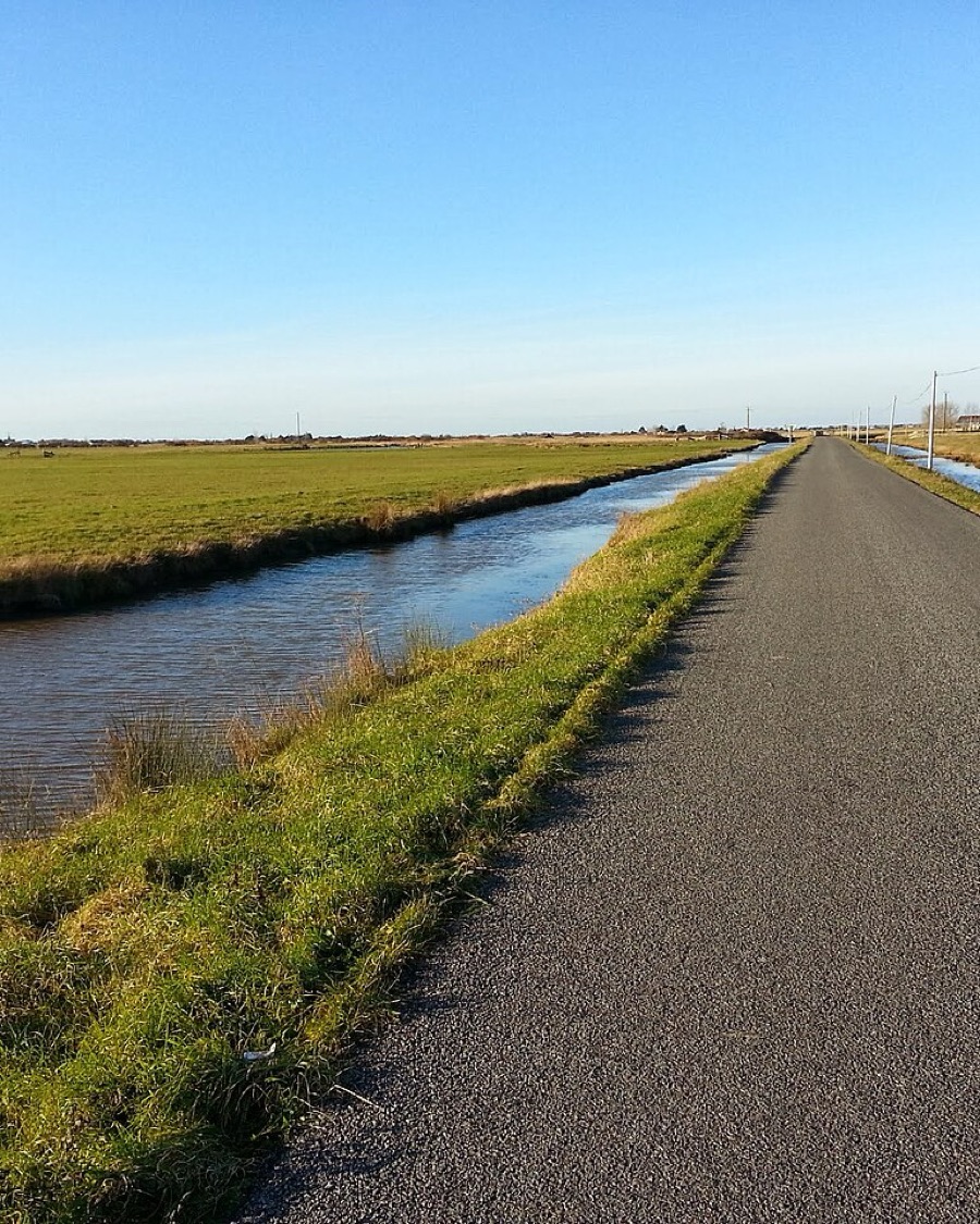Le marais breton vers Bois-de-Céné