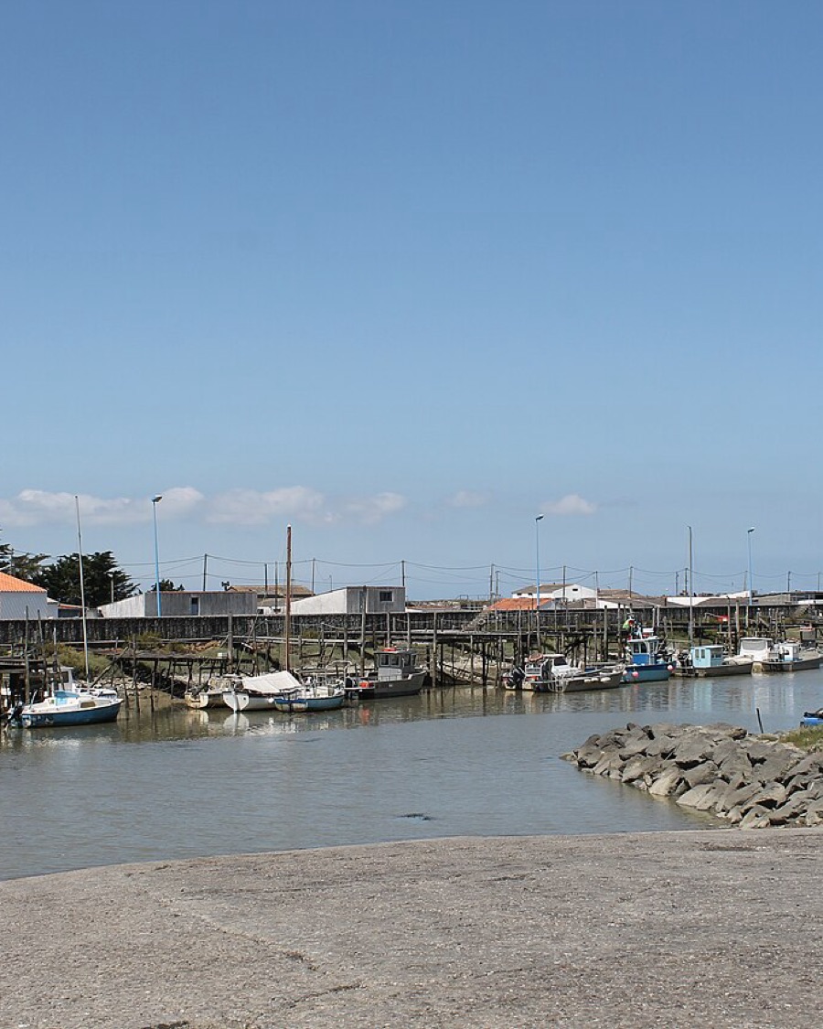 Les bateaux du port du Bec